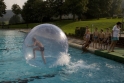 Walkingballs-113.jpg