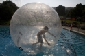 Walkingballs-133.jpg