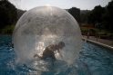 Walkingballs-134.jpg