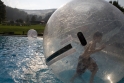 Walkingballs-137.jpg