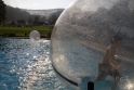 Walkingballs-138.jpg
