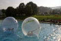 Walkingballs-156.jpg