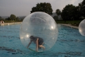 Walkingballs-162.jpg