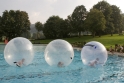 Walkingballs-184.jpg