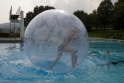 Walkingballs-19.jpg