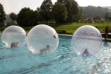 Walkingballs-98.jpg