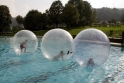 Walkingballs-99.jpg