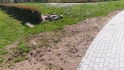 Weg-062.jpeg