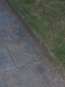 Fruehjahr-64.jpg